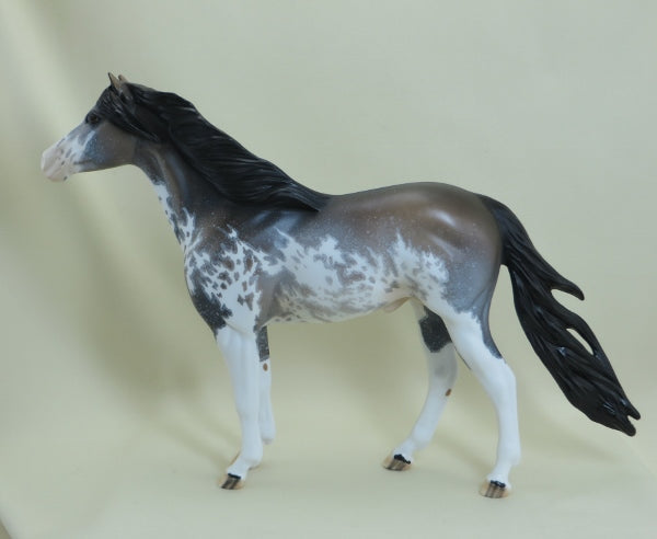 BRISTOL - OOAK Sooty Buckskin Sabino Mustang Paint 4/15