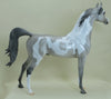 O&#39; MURPHY- OOAK Sooty Palomino Roaned Arabian 3/15