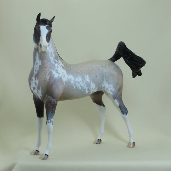 FARINA - OOAK  Bay Roan Sabino Pinto Arabian with Listening Ear 4/15