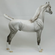 BFF - Fleabit Gray Arabian Model Horse - LE3 - 2/15