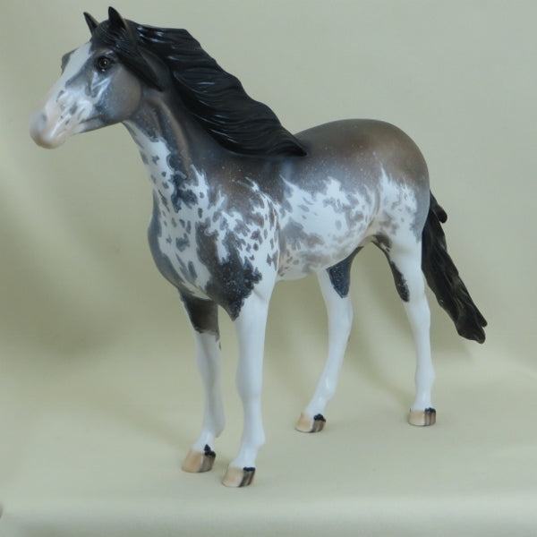 BRISTOL - OOAK Sooty Buckskin Sabino Mustang Paint 4/15