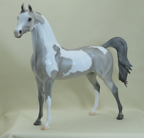 DEMPSEY - OOAK Gray Pinto Arabian 3/15