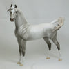 BFF - Fleabit Gray Arabian Model Horse - LE3 - 2/15