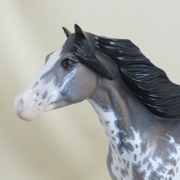 BRISTOL - OOAK Sooty Buckskin Sabino Mustang Paint 4/15