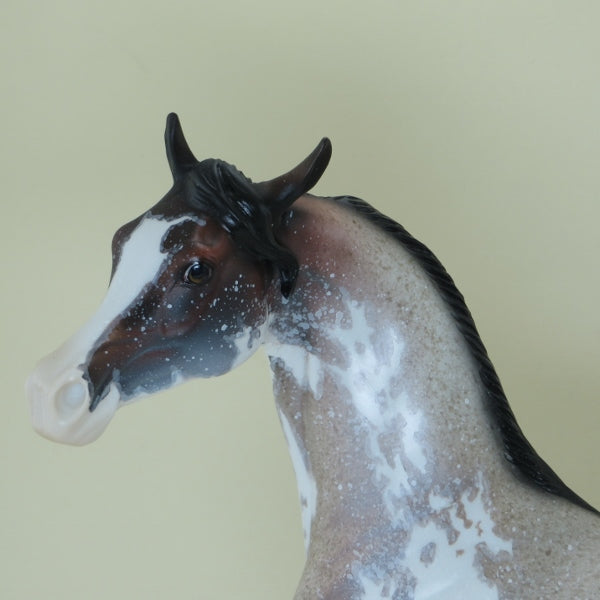FARINA - OOAK  Bay Roan Sabino Pinto Arabian with Listening Ear 4/15