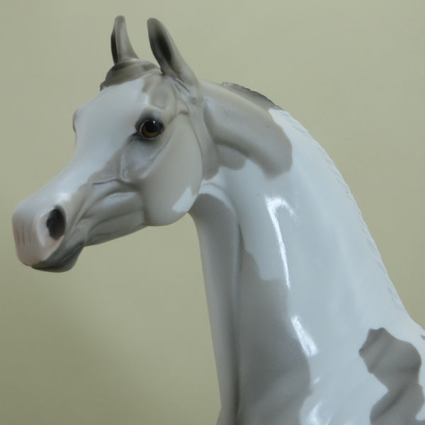 DEMPSEY - OOAK Gray Pinto Arabian 3/15