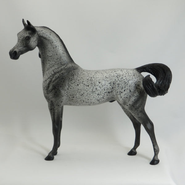 MOTHER MAY I - OOAK Dark Fleabit Arabian 5/15