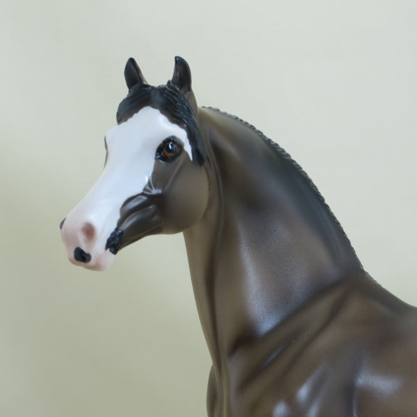 PUDDLES - OOAK Dun Morgan Pinto Model Horse - 3/15