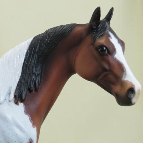 BREAK THE SAFE - OOAK Bay Tobiano Paint with Mapping 4/15