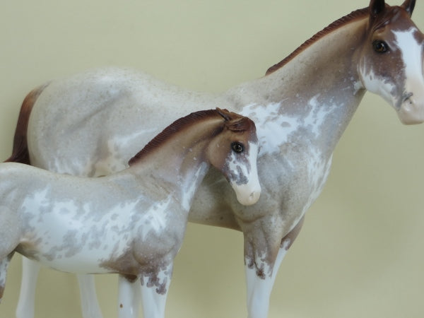 EDGEFIELD &amp; PALERMO - Red Roan Sabino Paints Weanling &amp; Stock Horse LE2 4/15 SET