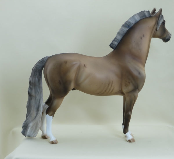 REANEY - Sooty Palomino Roan w/ Corn Spots Mix Breed  LE10 3/15