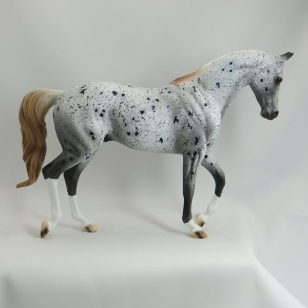 SON OF MINE - OOAK Chestnut Appaloosa Thoroughbred 5/15
