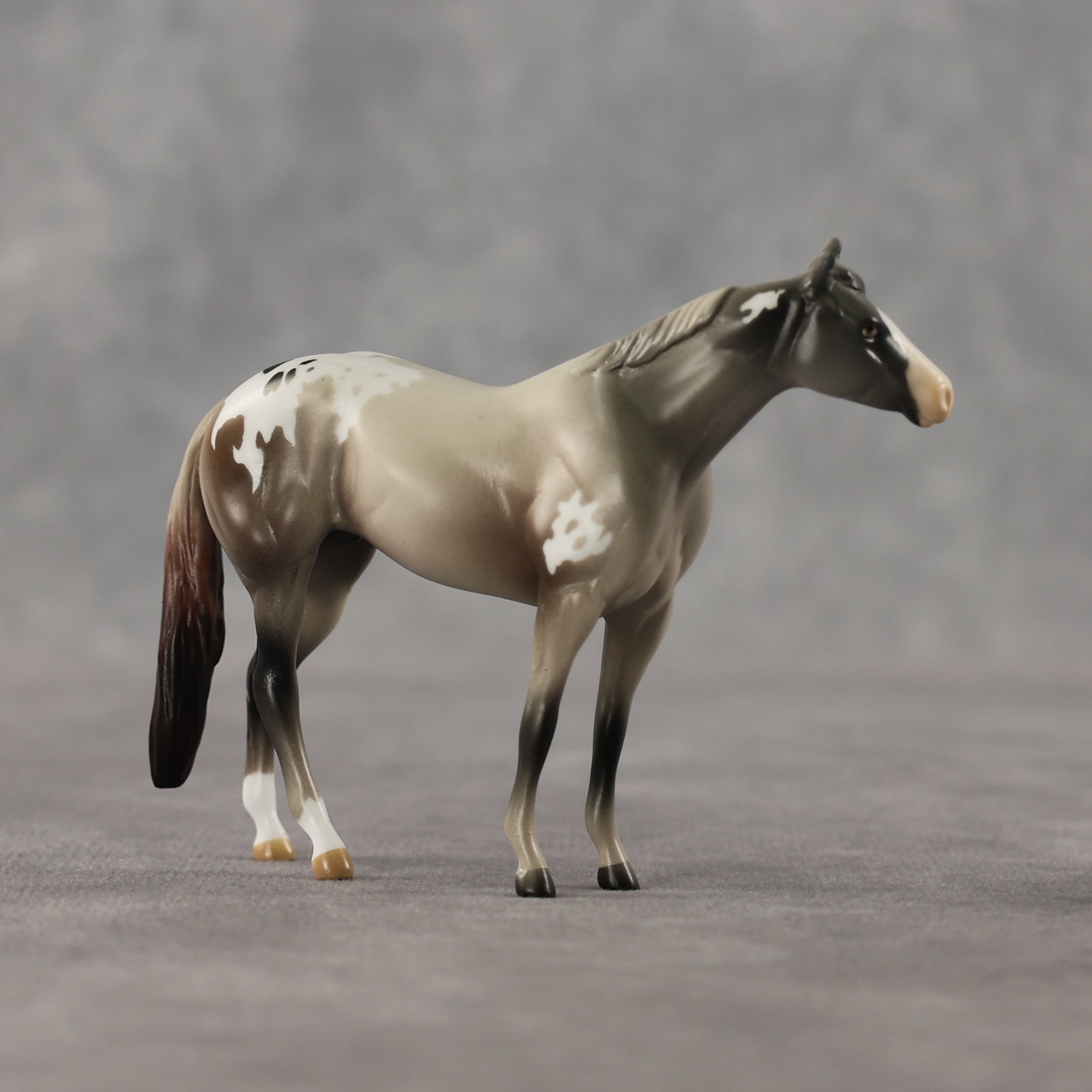 1-800 LE-5 Chip Stock Horse by Anna Rieck April $99 Chips