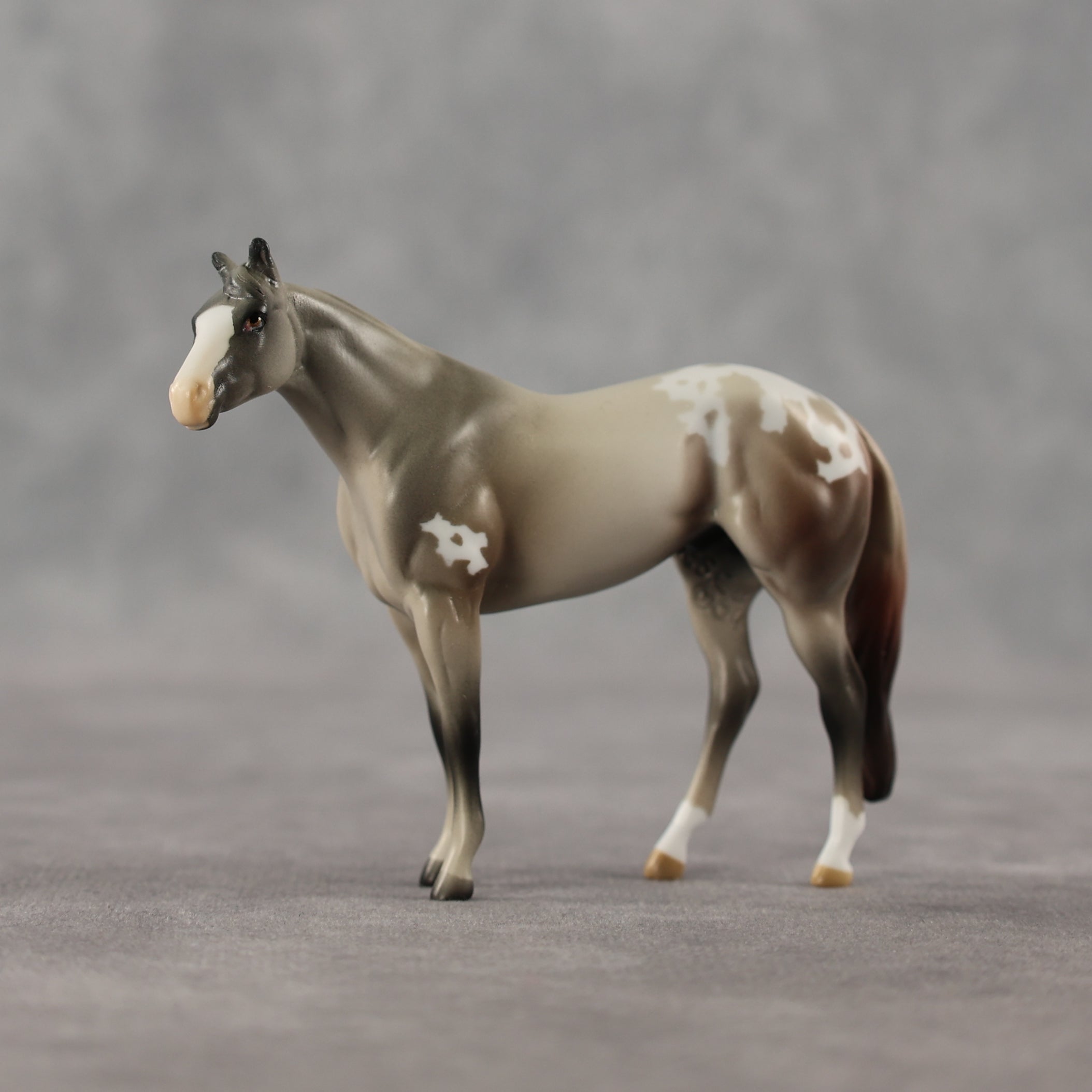 1-800 LE-5 Chip Stock Horse by Anna Rieck April $99 Chips