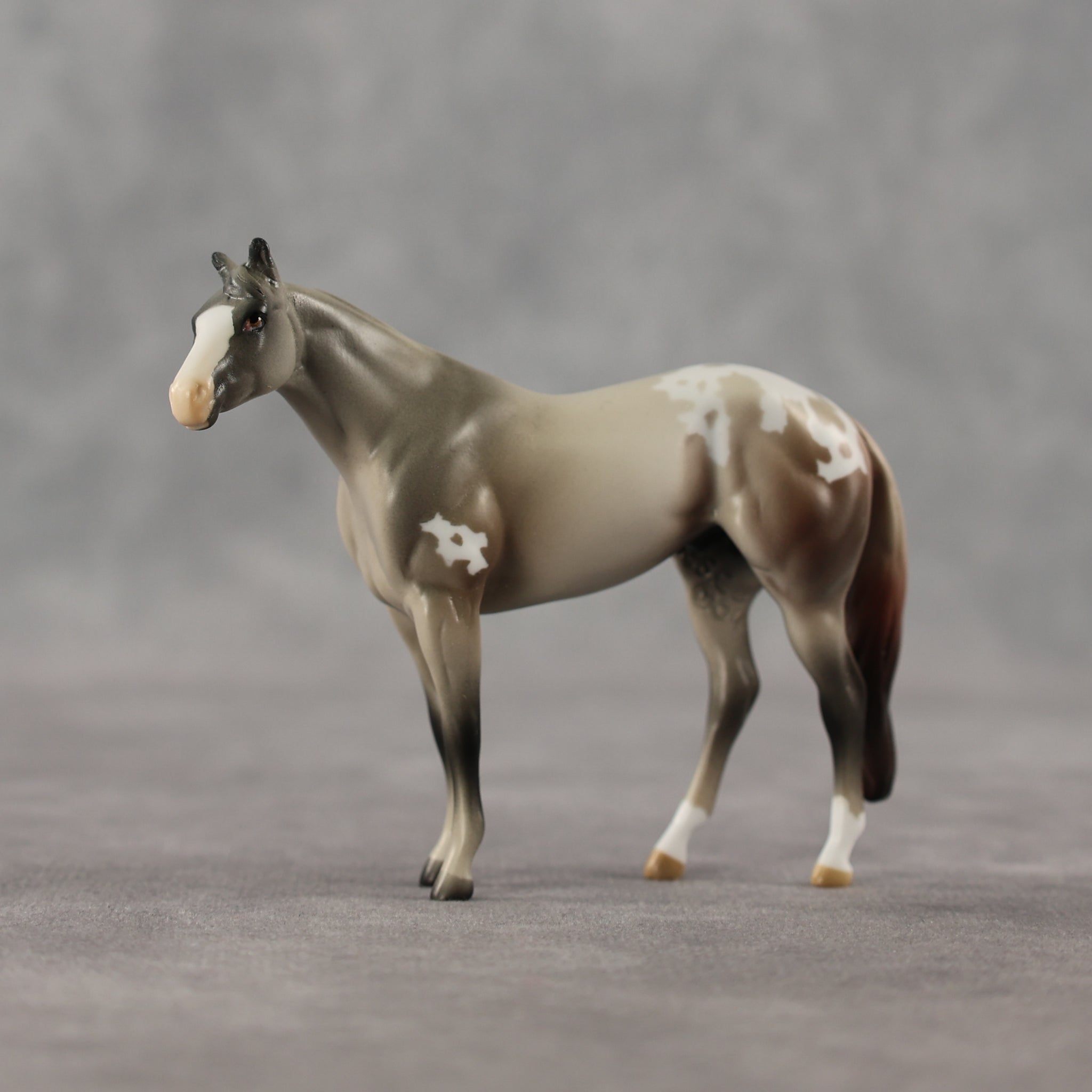 1-800 LE-5 Chip Stock Horse by Anna Rieck April $99 Chips