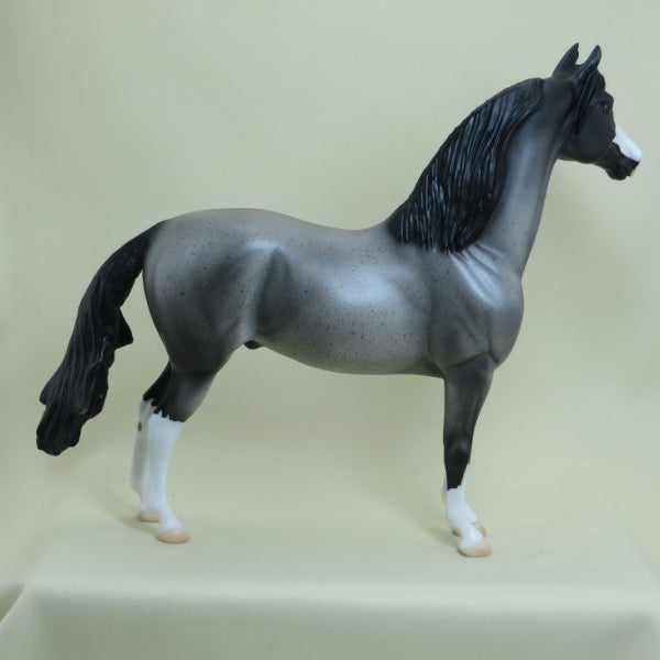 OREO SIZZLE - OOAK Blue Roan Morgan Model Horse - 4/15