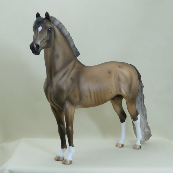 REANEY - Sooty Palomino Roan w/ Corn Spots Mix Breed  LE10 3/15