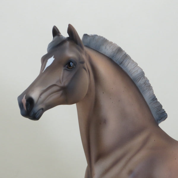 REANEY - Sooty Palomino Roan w/ Corn Spots Mix Breed  LE10 3/15