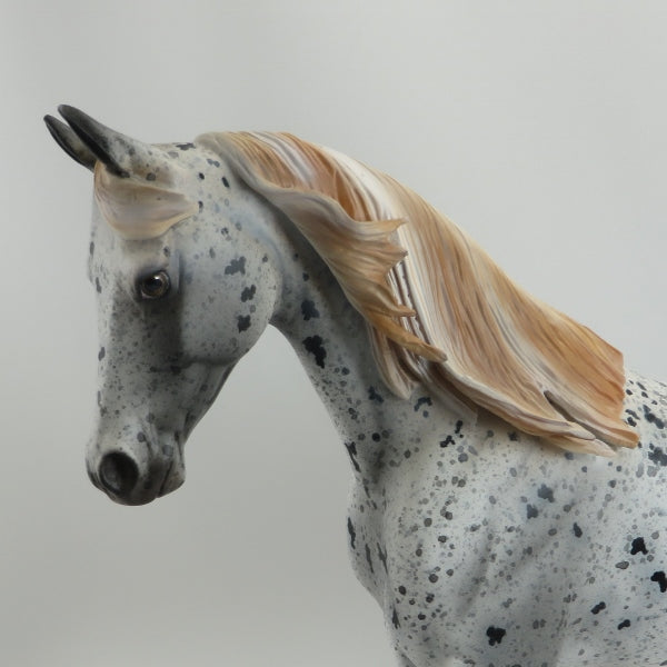 SON OF MINE - OOAK Chestnut Appaloosa Thoroughbred 5/15