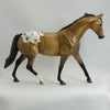 MAMA&#39;S GOLDEN BOY - OOAK Golden Bay Appaloosa Model Horse - 5/15