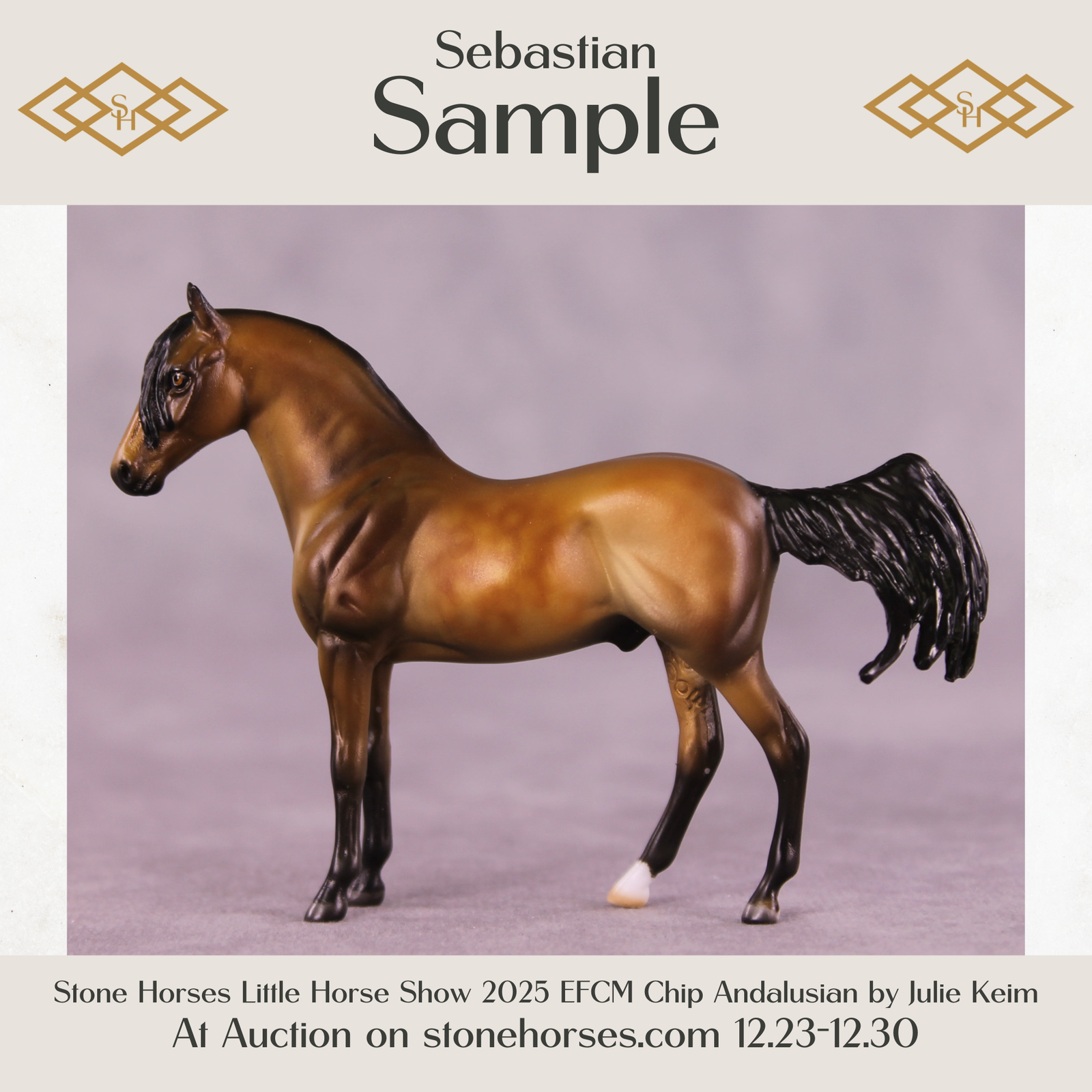 SAMPLE Sebastian LE-10 EFCM Chip Andalusian by Julie Keim HS25