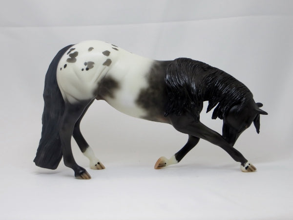 LOL - OOAK Black Appaloosa Bowing Horse 2/15