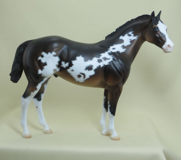 SCRABBLE - OOAK Seal Bay Paint Stock Horse with Mapping 4/15