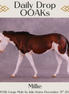 Millie OOAK Large Mule by Julie Keim DDOOAKs25