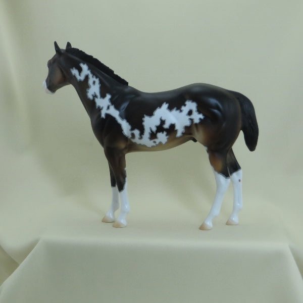 SCRABBLE - OOAK Seal Bay Paint Stock Horse with Mapping 4/15