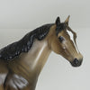 THE BEST OF ME - OOAK Dapple Bay Stock Horse 2/15