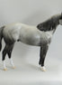 APPRECIATE HER - OOAK Dapple Gray Stock Horse - 5/15