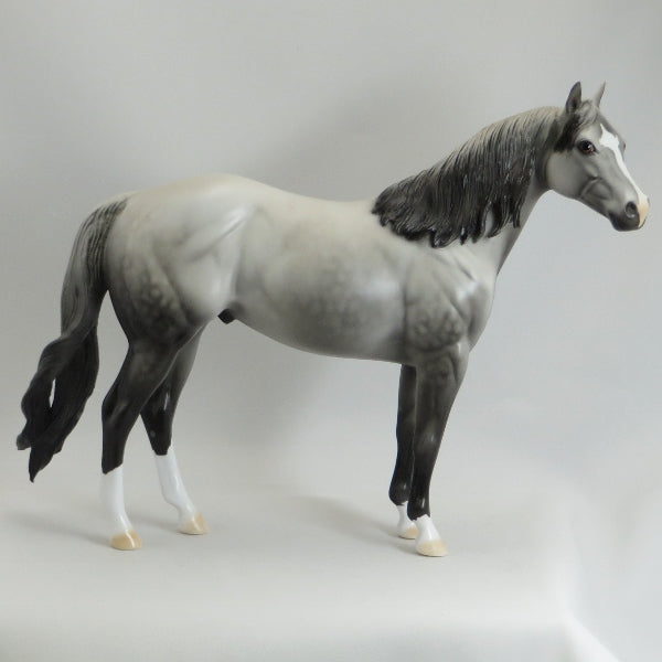 APPRECIATE HER - OOAK Dapple Gray Stock Horse - 5/15