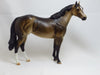 THE BEST OF ME - OOAK Dapple Bay Stock Horse 2/15