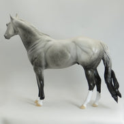 APPRECIATE HER - OOAK Dapple Gray Stock Horse - 5/15