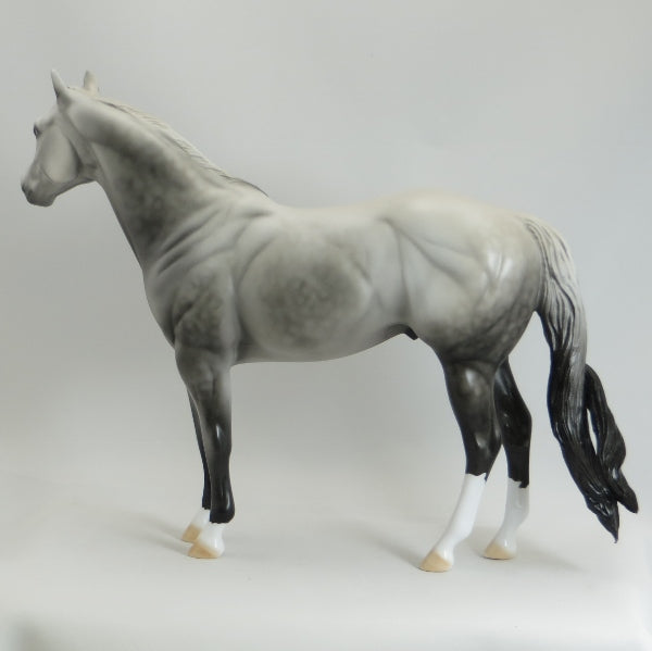 APPRECIATE HER - OOAK Dapple Gray Stock Horse - 5/15