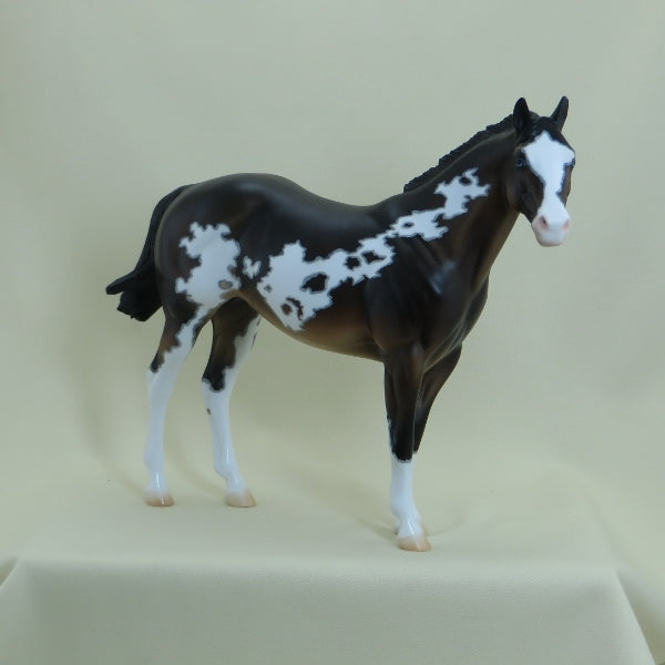 SCRABBLE - OOAK Seal Bay Paint Stock Horse with Mapping 4/15