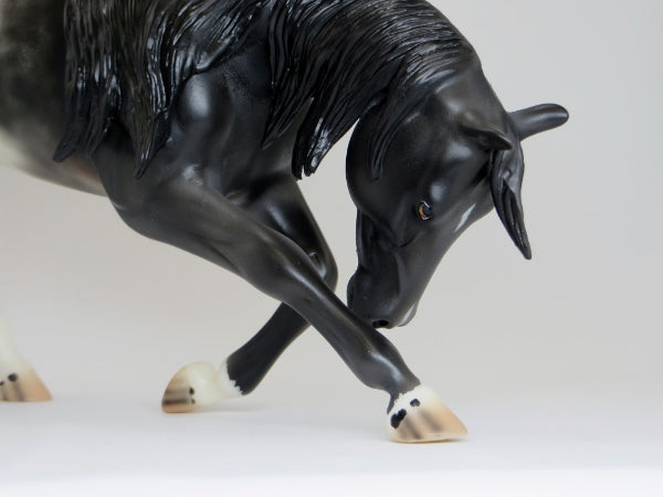 LOL - OOAK Black Appaloosa Bowing Horse 2/15