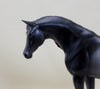 TAAFFE - OOAK Appaloosa Model Horse Pebbles - 3/15