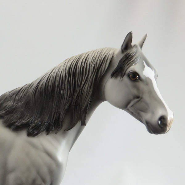 APPRECIATE HER - OOAK Dapple Gray Stock Horse - 5/15