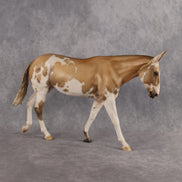 Pumpkin Spice & Everything Nice OOAK Large Mule by Jess Hamill DDOOAKs26
