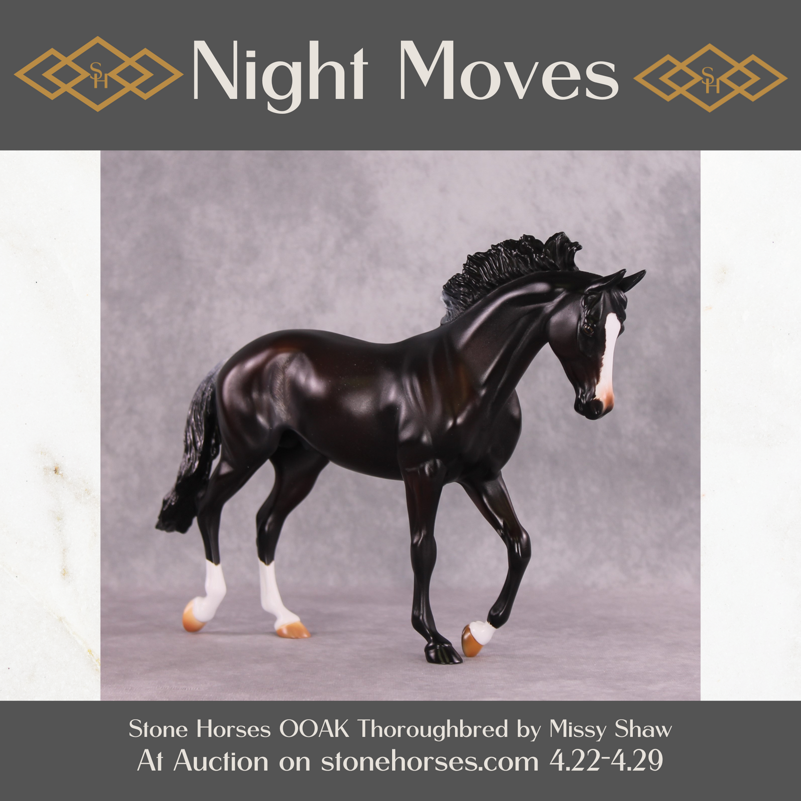 "Night Moves" FCM Thoroughbred By Missy Shaw