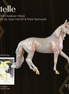 Estelle LE-5 FCM Arabian Mare by Jess Hamill & Matt Samuels EQ26