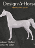 Design-A-Horse NEW FCM Arabian Stallion February Release DAH26 PM0265