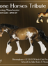 Birmingham LE-20 FCM Irish Cob by Julie Keim TS26
