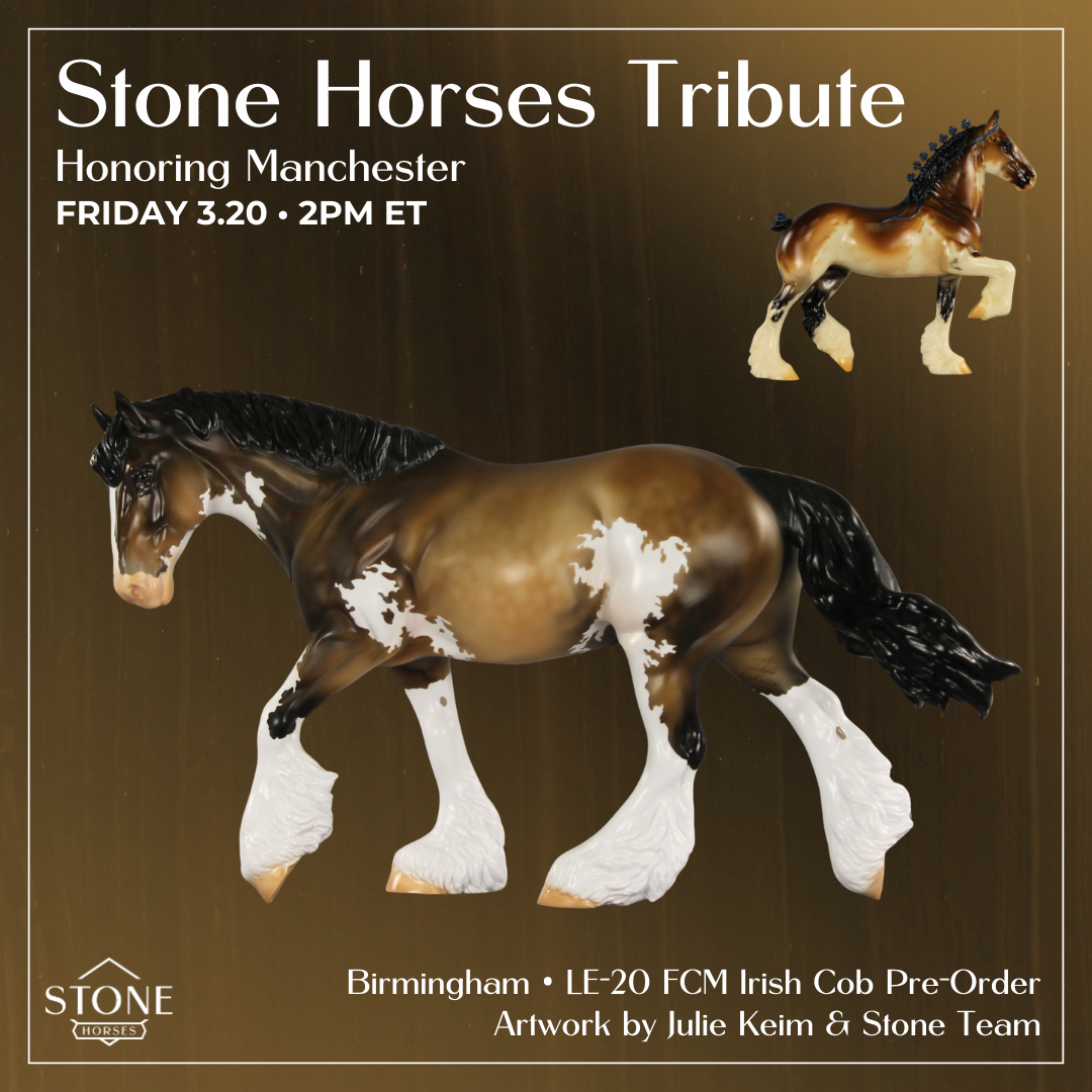 Birmingham LE-20 FCM Irish Cob by Julie Keim TS26