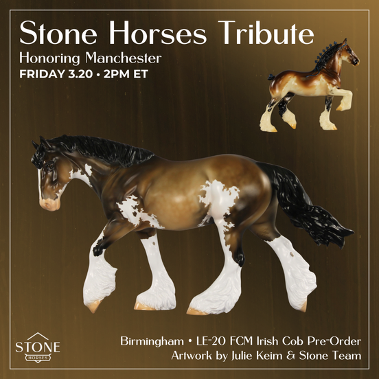 Birmingham LE-20 FCM Irish Cob by Julie Keim TS26