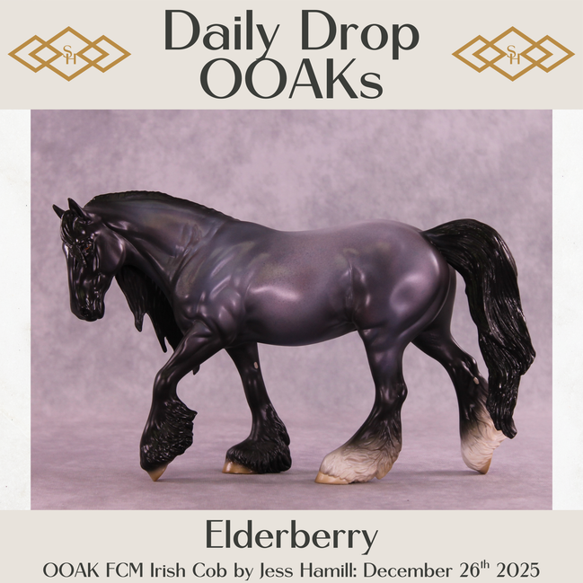 Elderberry OOAK FCM Irish Cob by Jess Hamill DDOOAKs25