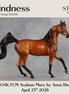 Kindness OOAK FCM Arabian Mare by Anna Rieck DDOOAKs26