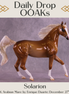 Solarion OOAK Arabian Mare by Enrique Duarte DDOOAKs25