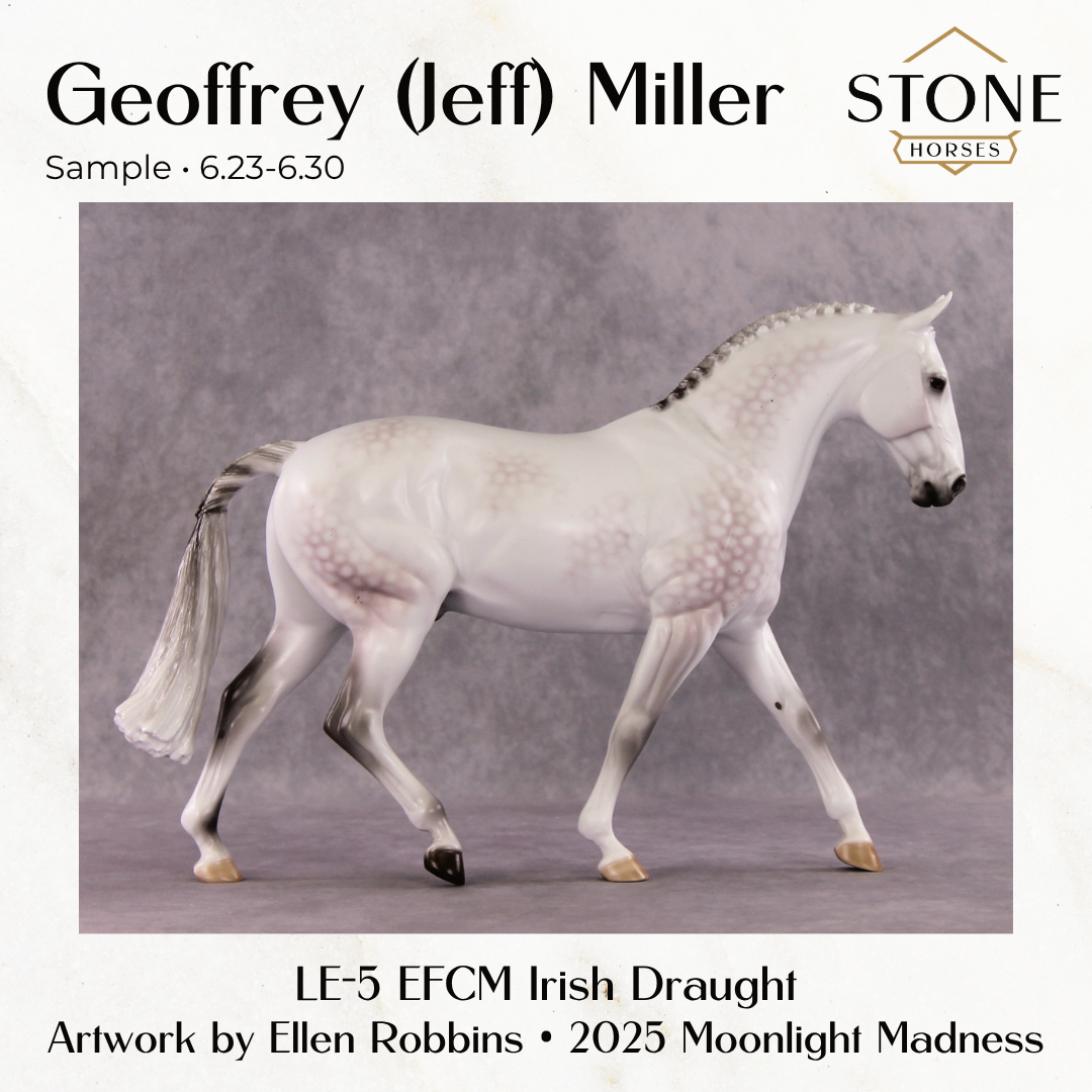 SAMPLE Geoffrey (Jeff) Miller LE-5 EFCM Irish Draught by Ellen Robbins &amp; Melanie Miller SS0626